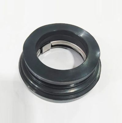 Accel Seal Ax5 or Ax05 Washing Machinanical Seal for Guilliver Counterface Gcs Gulliver Grandimpianti