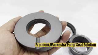 Nhìn kỹ hơn: Phốt cơ khí hai mặt AES W13U SiC/SiC, FKM cho máy bơm Waukesha